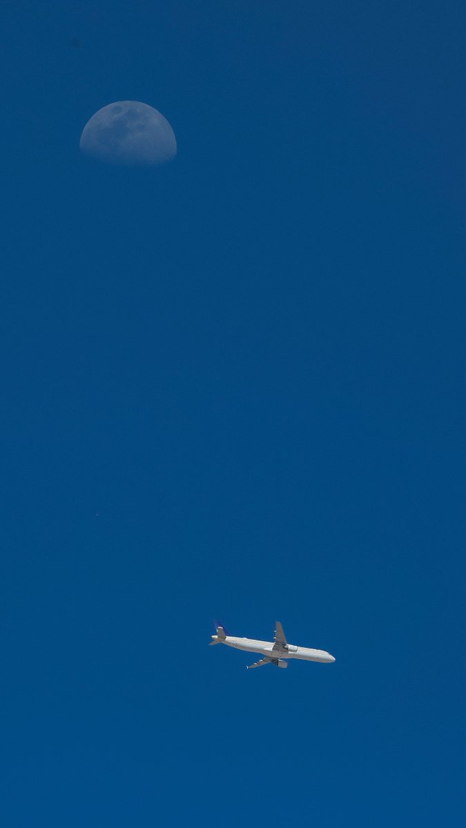 عثمان الشمراني tweet media