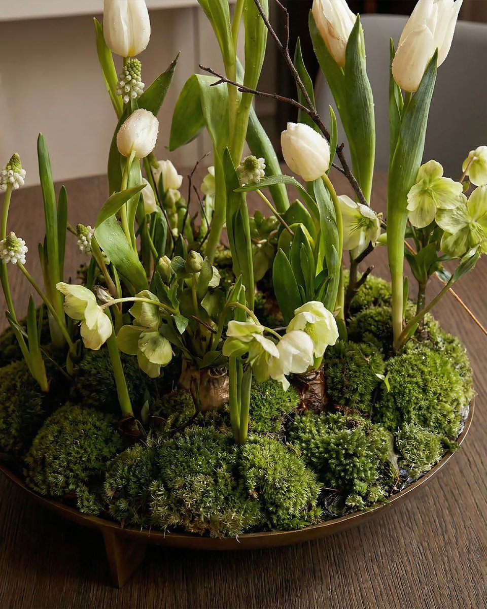 LivareaBerlin's tweet image. Wochenende in Sicht!
Zeit für gute Gespräche, fantastisches Essen und einen vollen Tisch.
Unser Setup für das perfekte Weekend-Dinner: Der runde Livitalia Iron Esstisch und die bequemen Eva Stühle.

livarea.de/livitalia-iron…
#Esszimmer #Livitalia #Designmöbel #Livarea #Dinnerparty