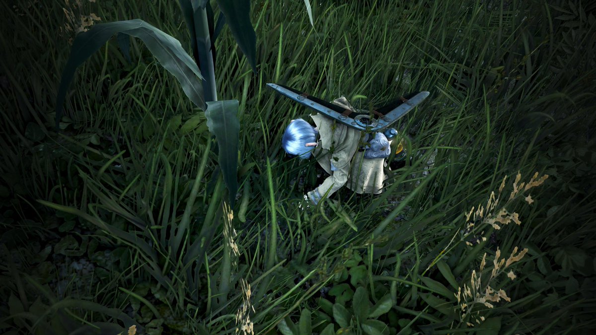 さかなカナ tweet media