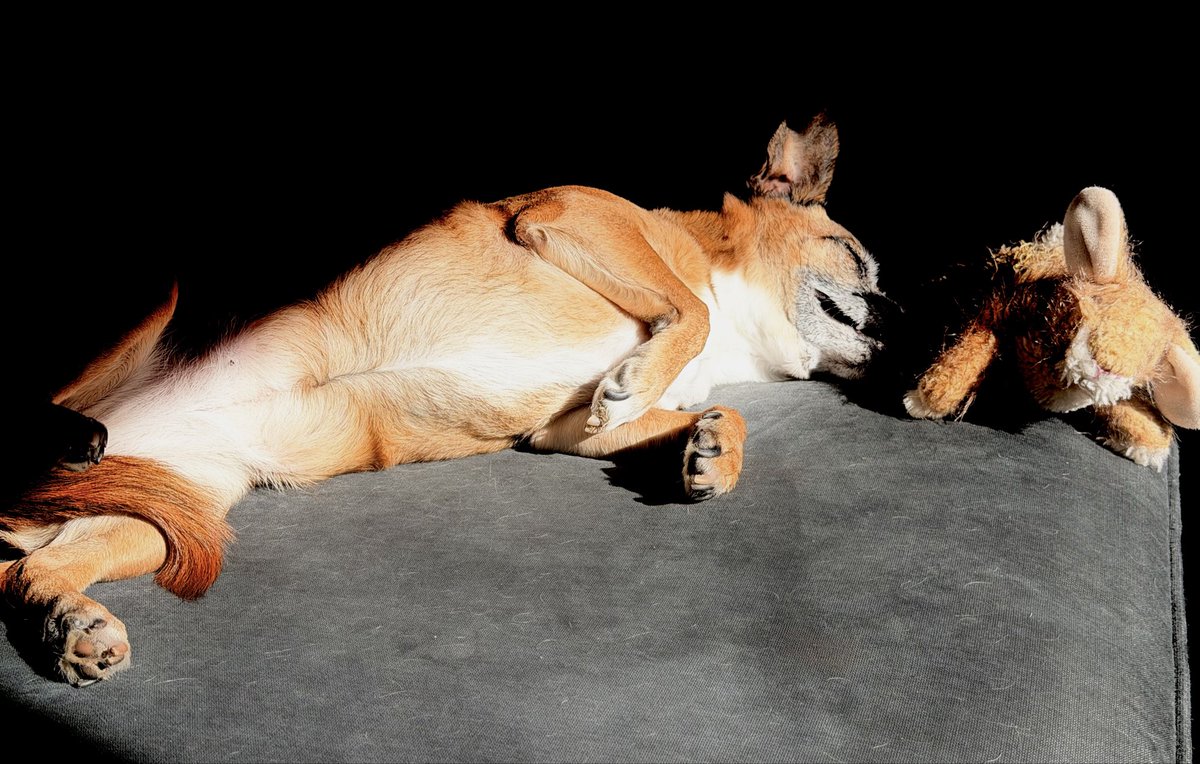 Juvenile in 98 tweet media