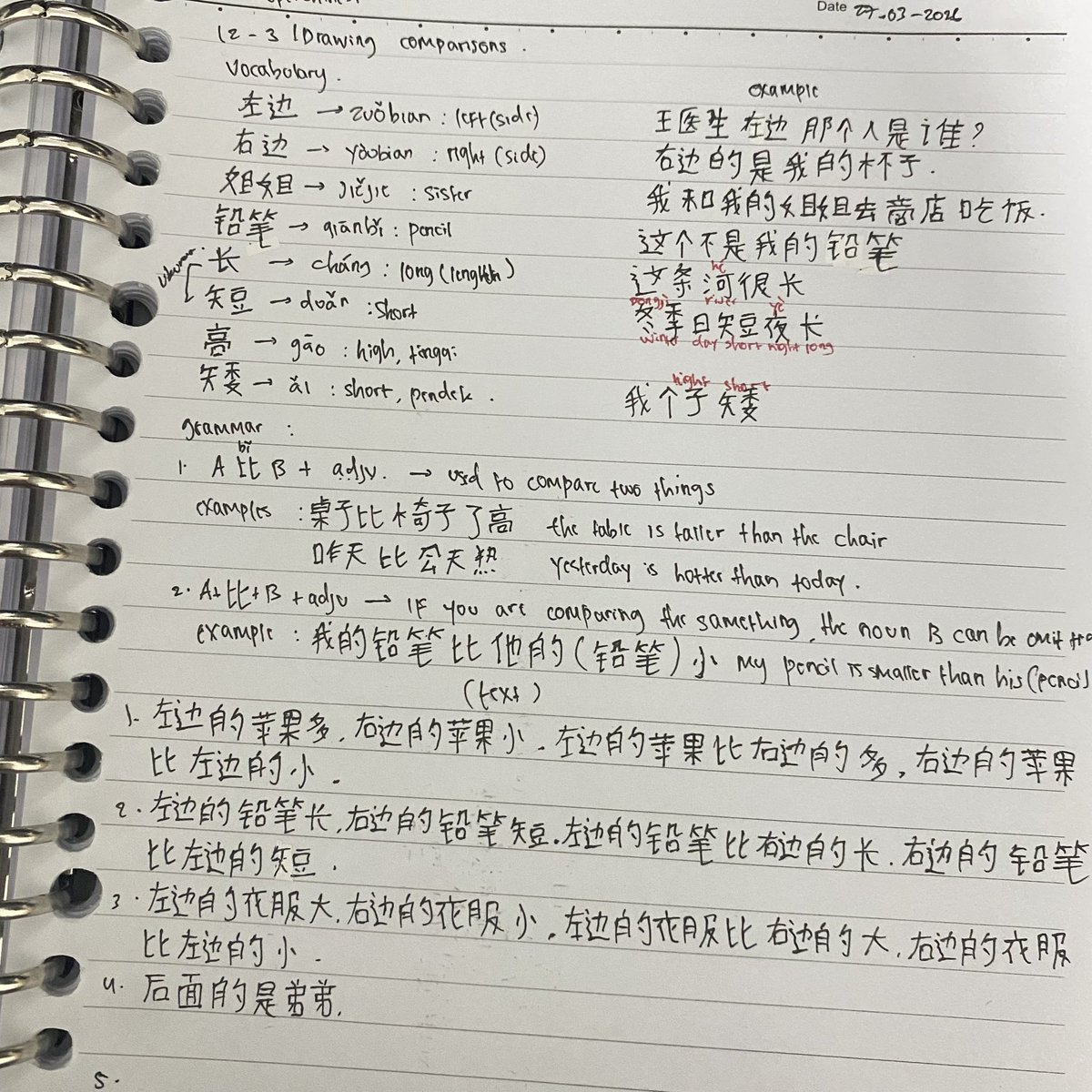 ama 爱琳🪼 tweet media