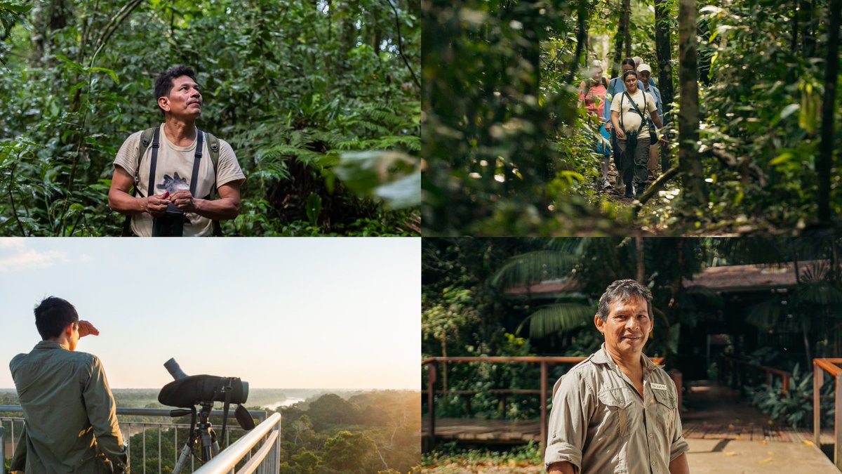 Rainforest Expeditions tweet media