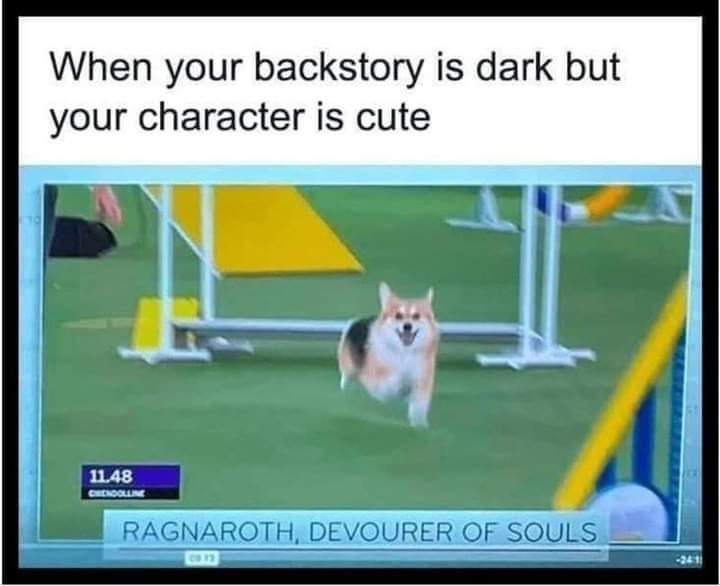 WholesomeMemes tweet media