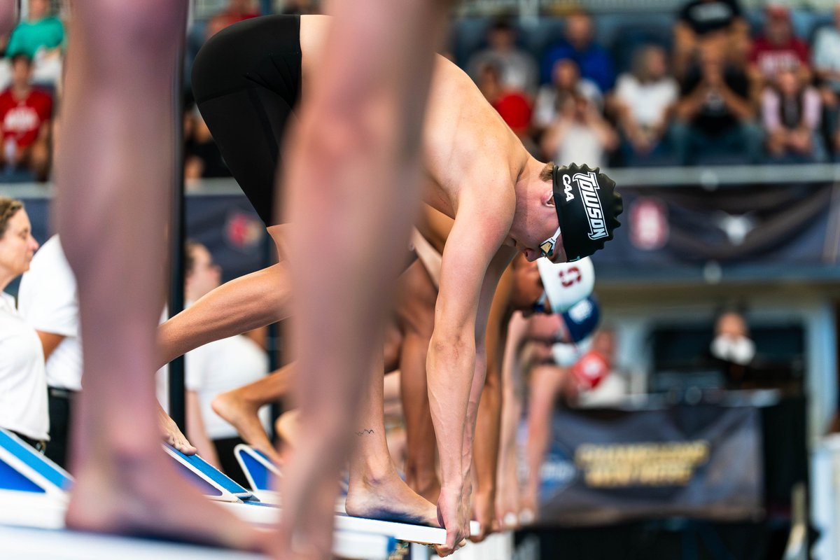 TU Swimming & Diving tweet media