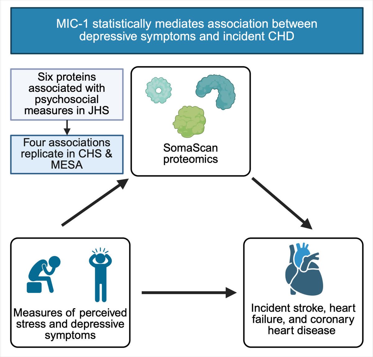 ATVB: An AHA Journal tweet media
