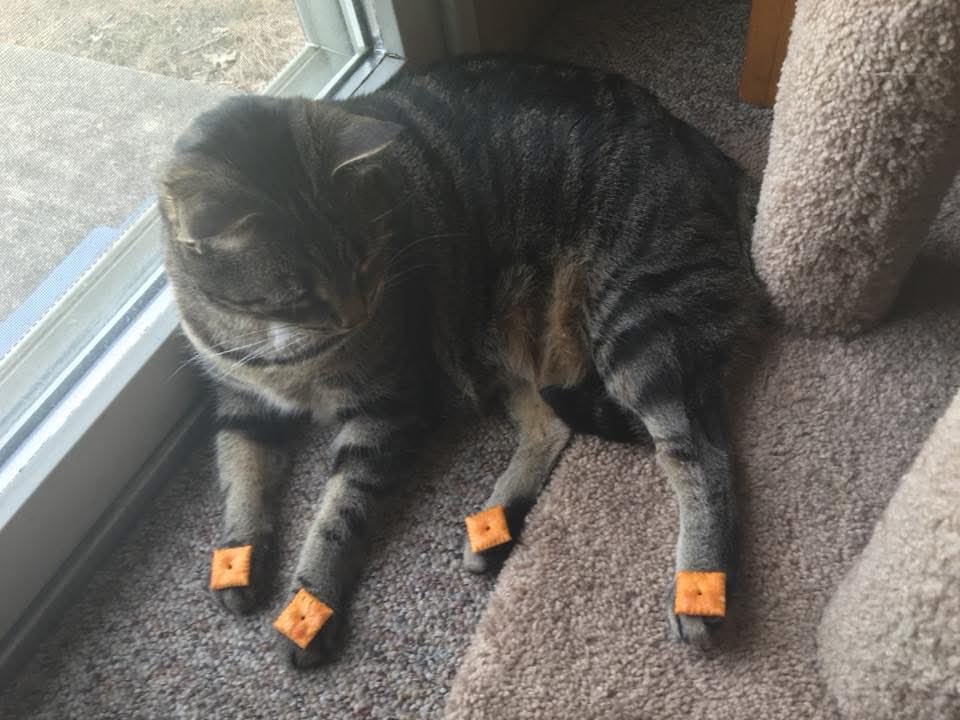 MADRINAS tweet media