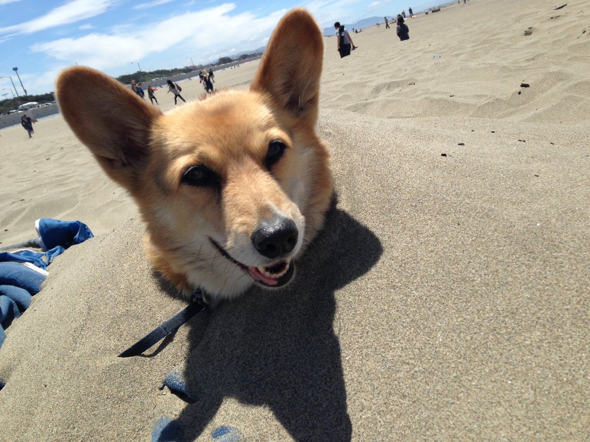 MADRINAS tweet media