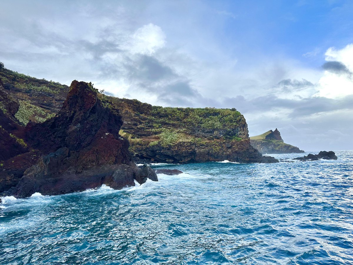 Planet Doğa tweet media