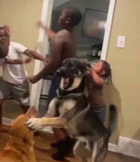 Livi ✯ | sevEN tweet media