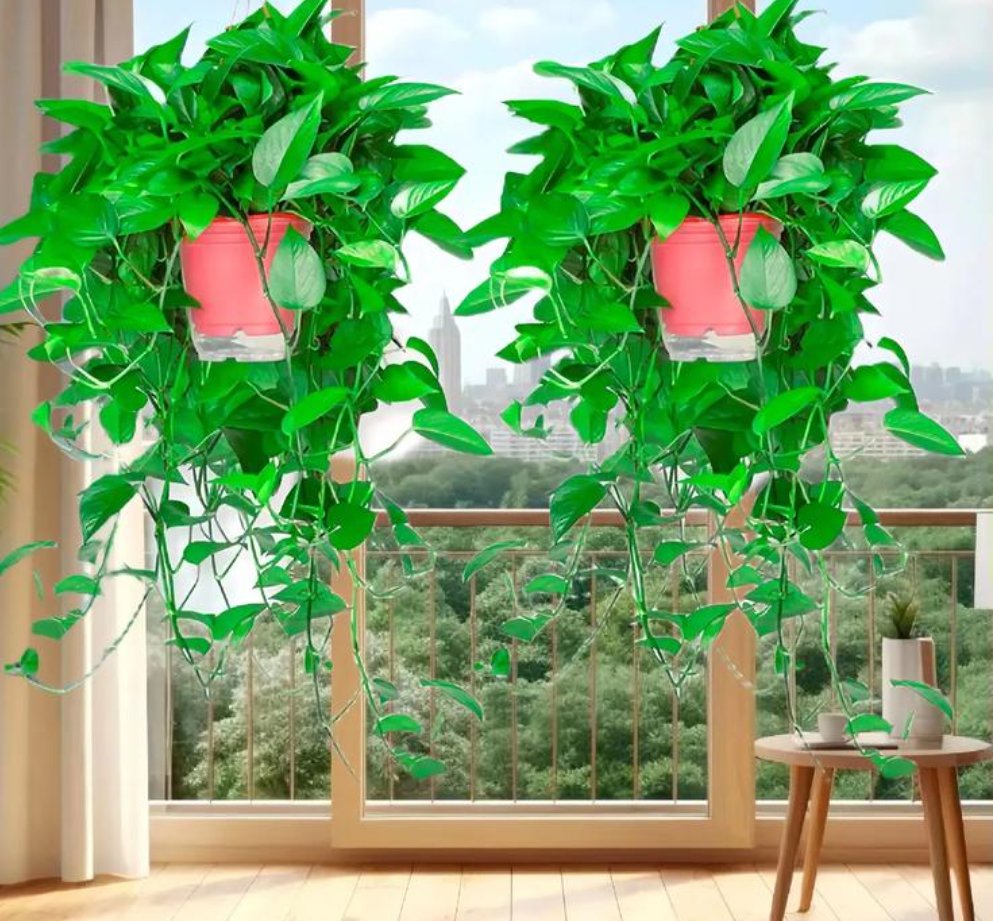 john edgar tweet media