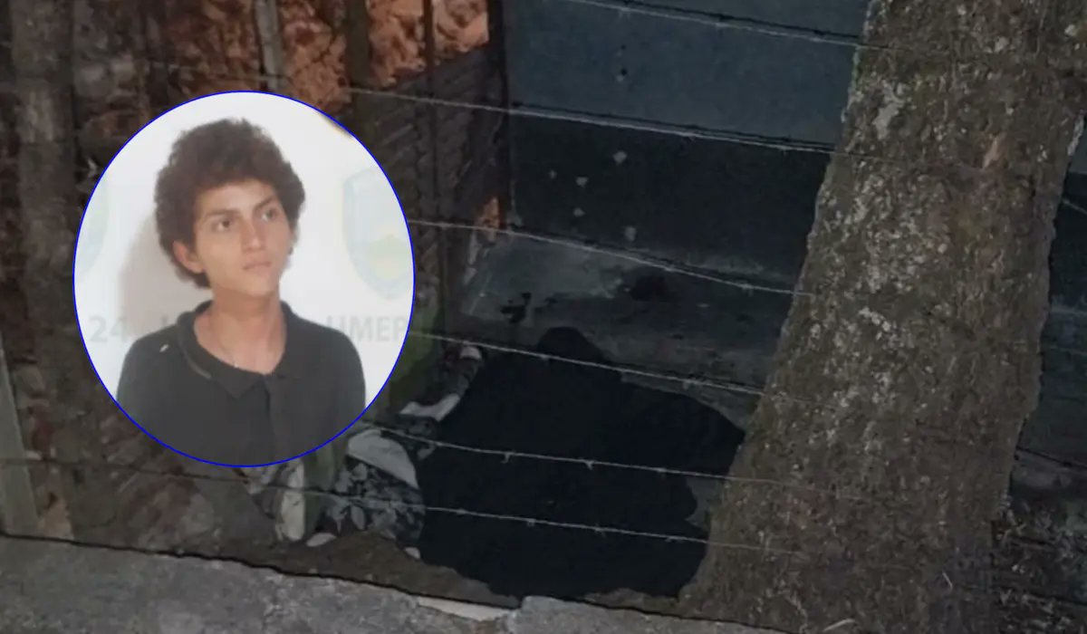 Más Noticias Televisión HN tweet media