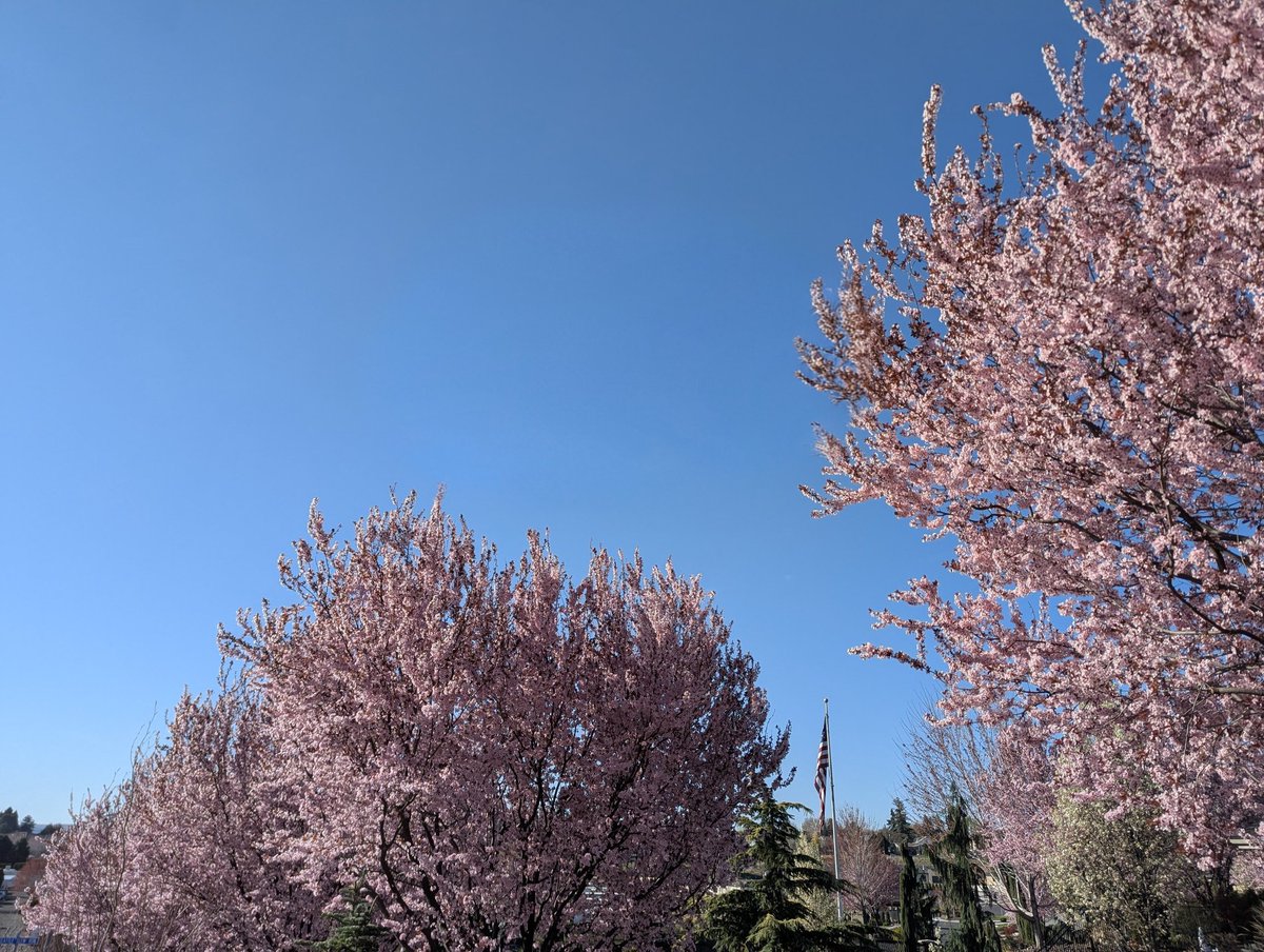 Nice view from the PT office window while I'm waiting. Beautiful day.