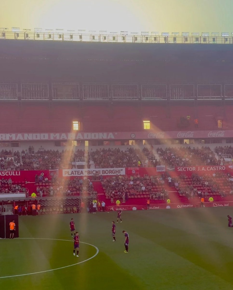 Momentos del bicho tweet media