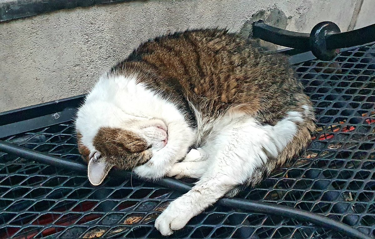 ＬＩＧＨＴ ＨＡＣＫＥＲＳ tweet media