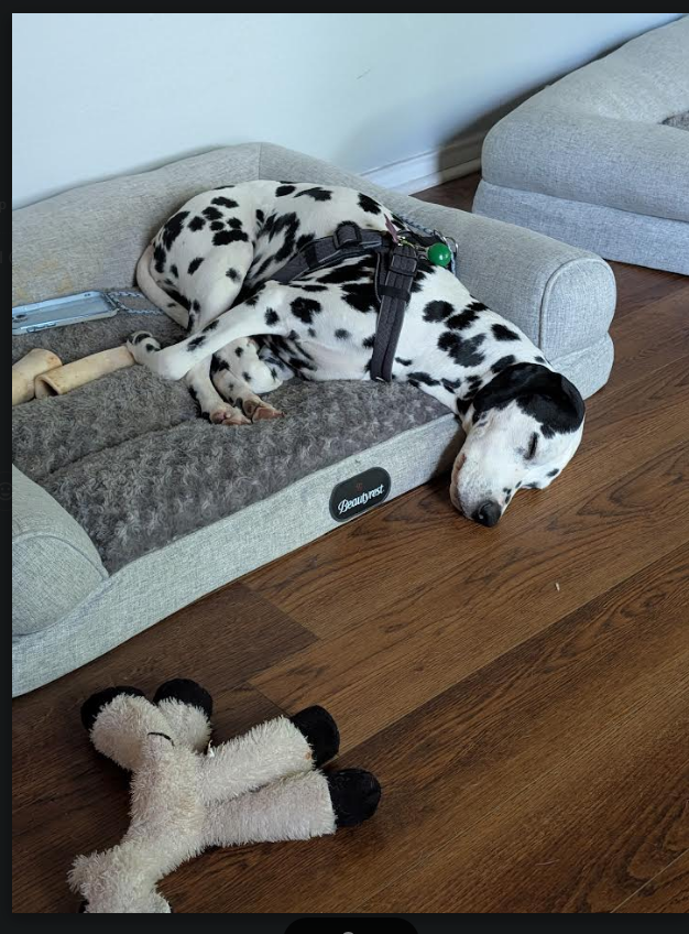 Mike - MarketTradersTV tweet media