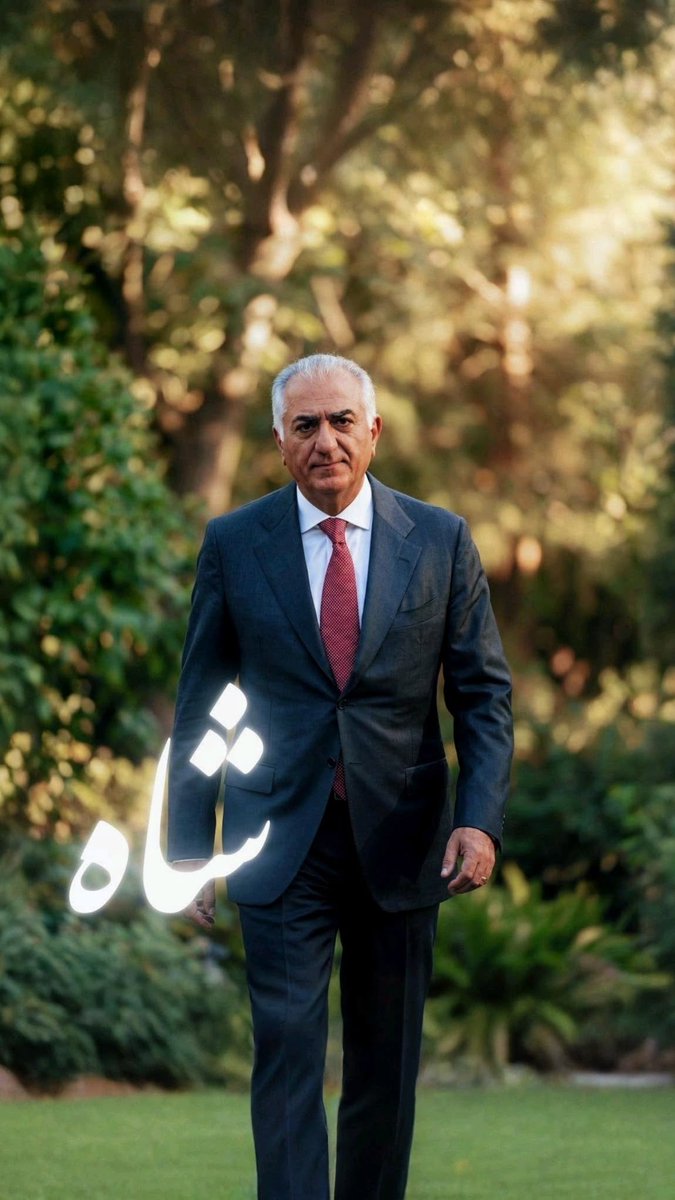 Pooya Elham پويا الهام tweet media