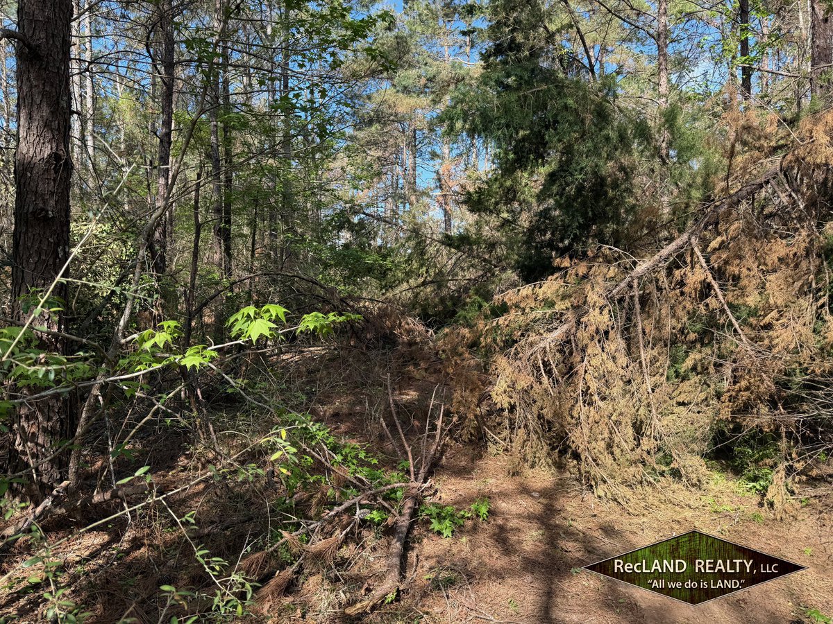 RecLand Realty tweet media