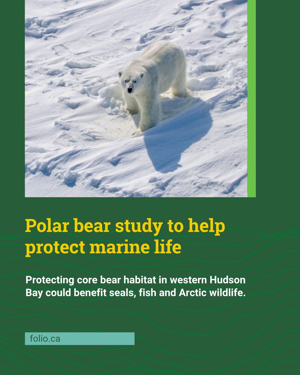 University of Alberta tweet media