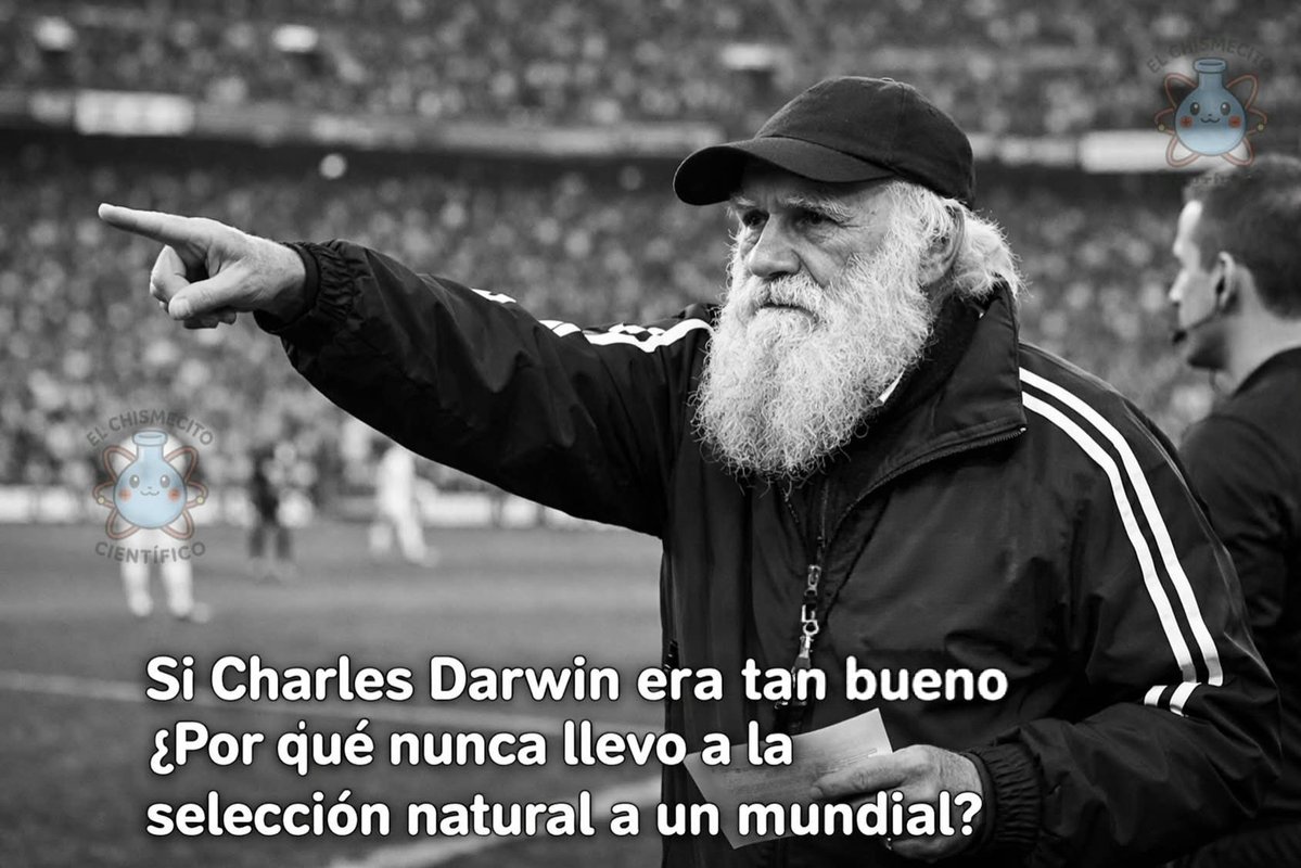 John W 🇦🇷 tweet media