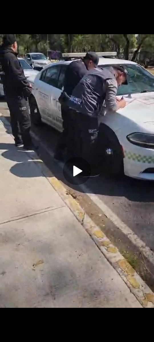 Cañitas Trejo tweet media