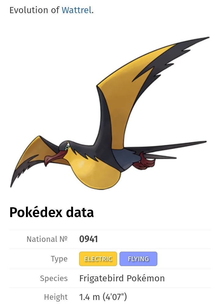 Pirocudo do meio dia tweet media