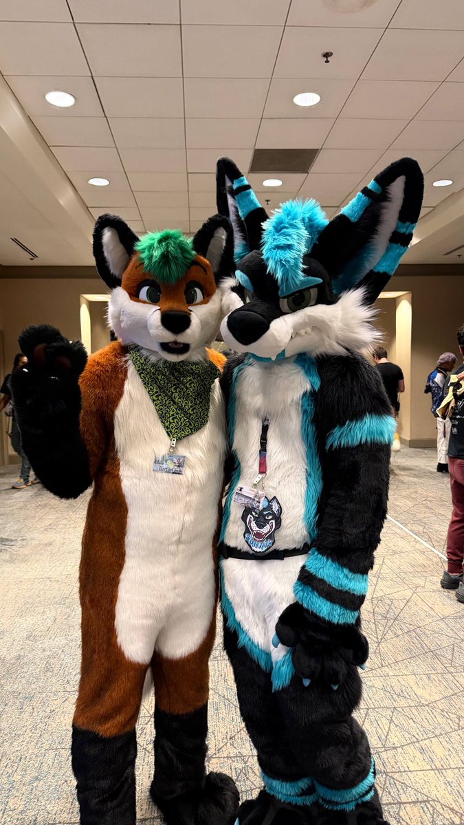 Sonnik 🔜 FWA tweet media