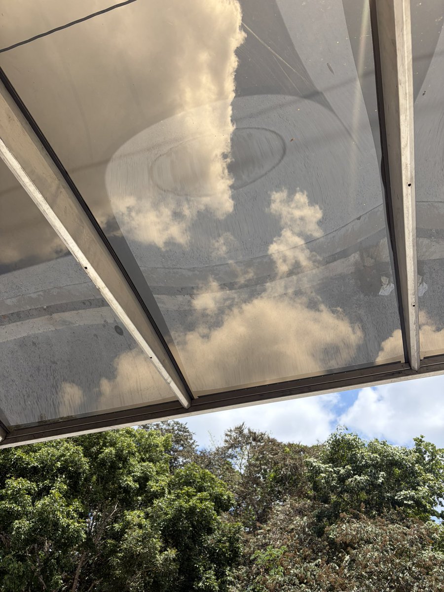 Raisa Banfield #PanamáSoberana🇵🇦 tweet media