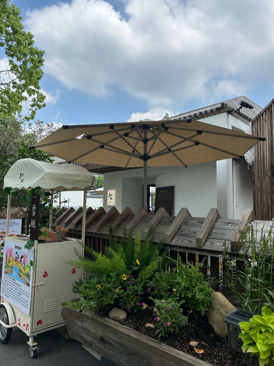 Jeanne DeGrazio tweet media