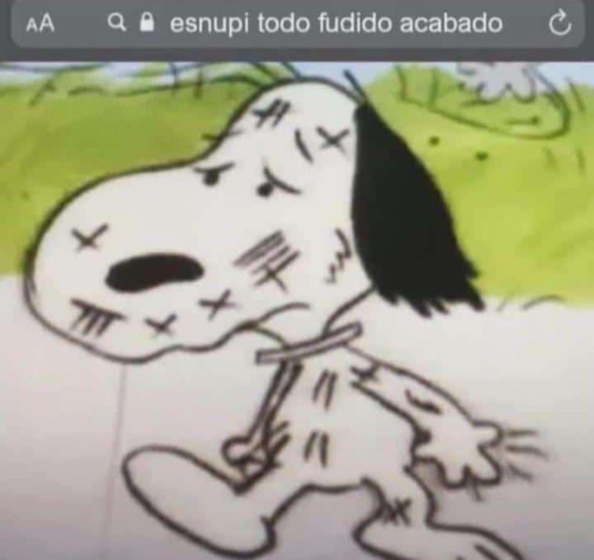 Marluciᶜʳᶠ tweet media