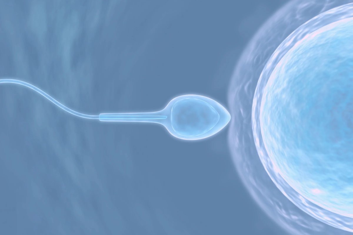 YabaLeftOnline tweet media