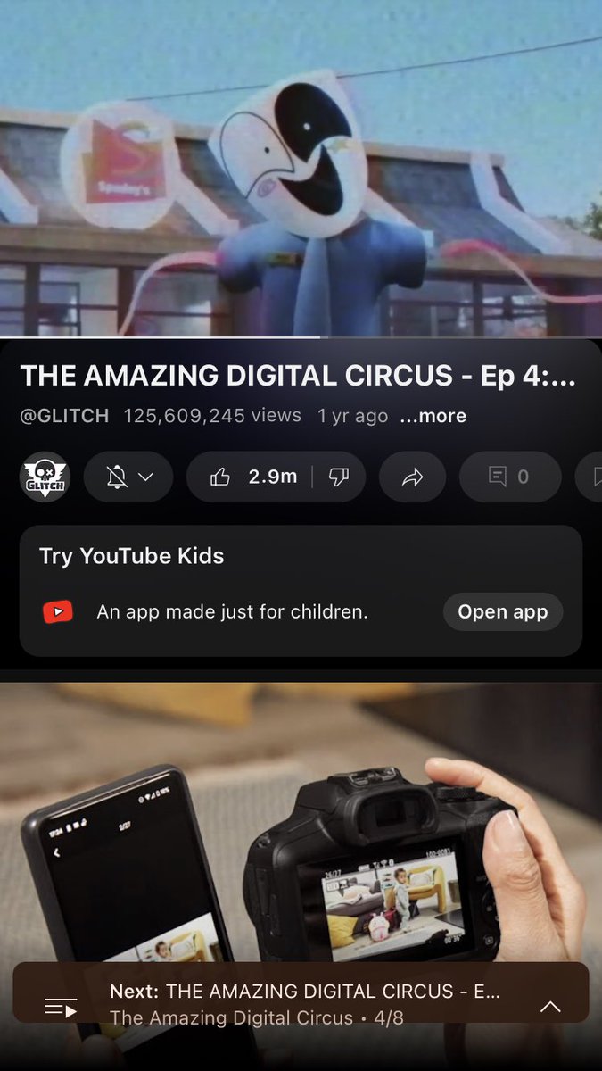 Phoenix 🍉 tweet media