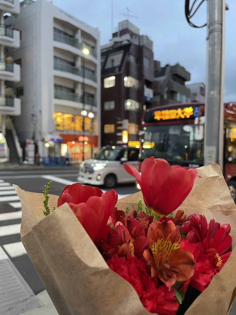 M i n t / ぐるまゆ。 tweet media