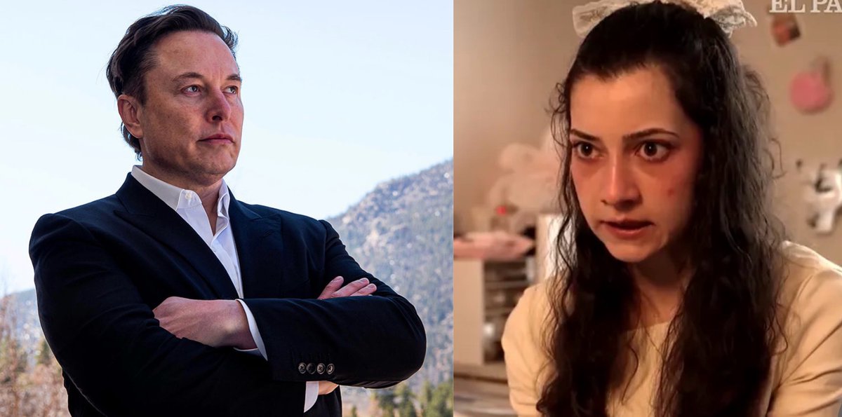 Tomek Niewęgłowski tweet media