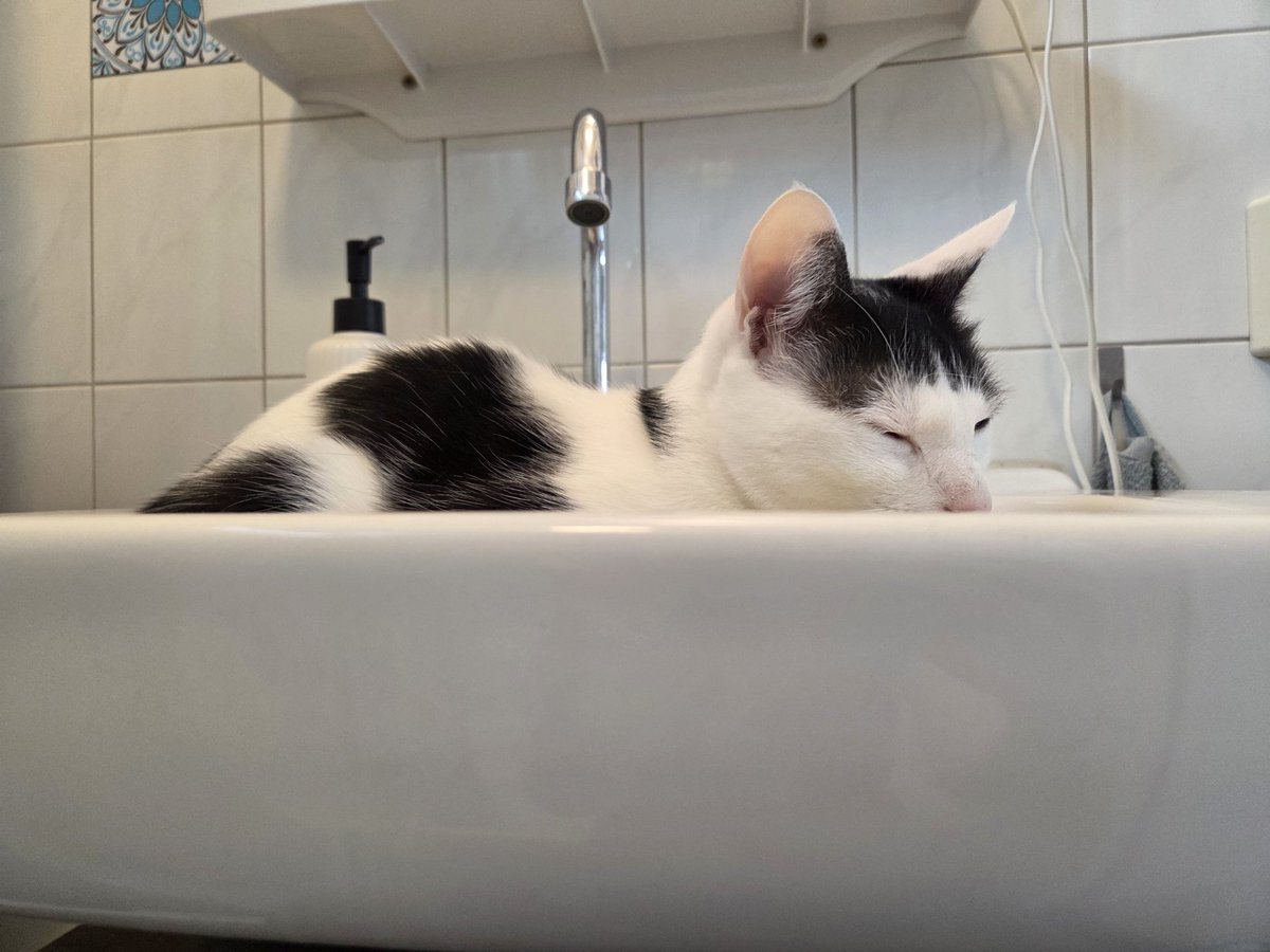 Suzan (met een Z zonder NE) tweet media