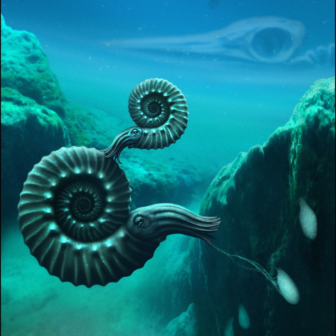 The Etches Collection tweet media