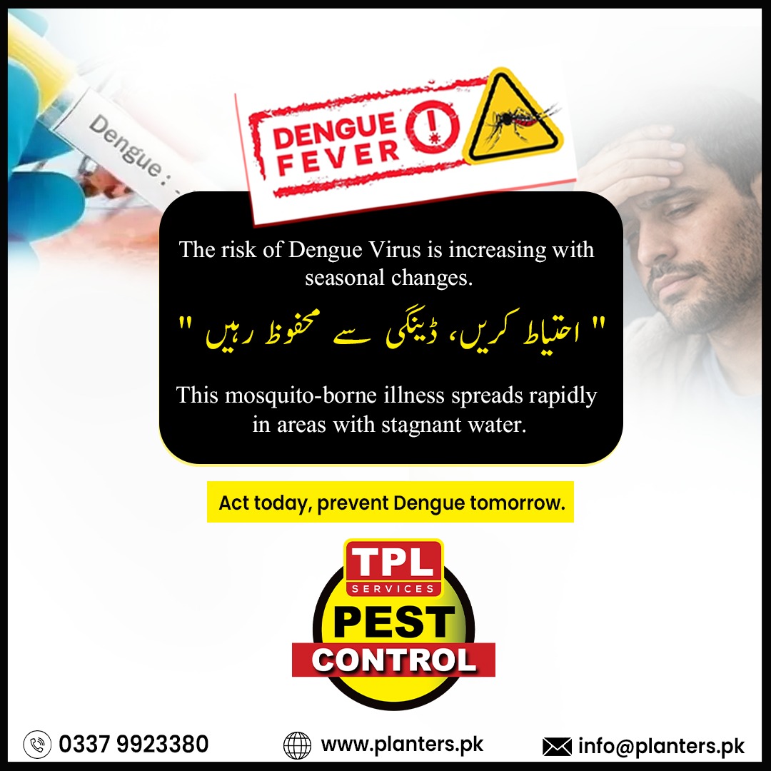 Protect your home, your workplace, and your loved ones with reliable and professional mosquito control solutions. Early action can save lives.

Act today. Stay safe tomorrow.

📞 Book your service now: 0337 9923380