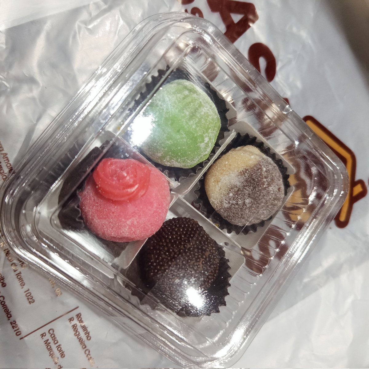 pinscher raivoso tweet media