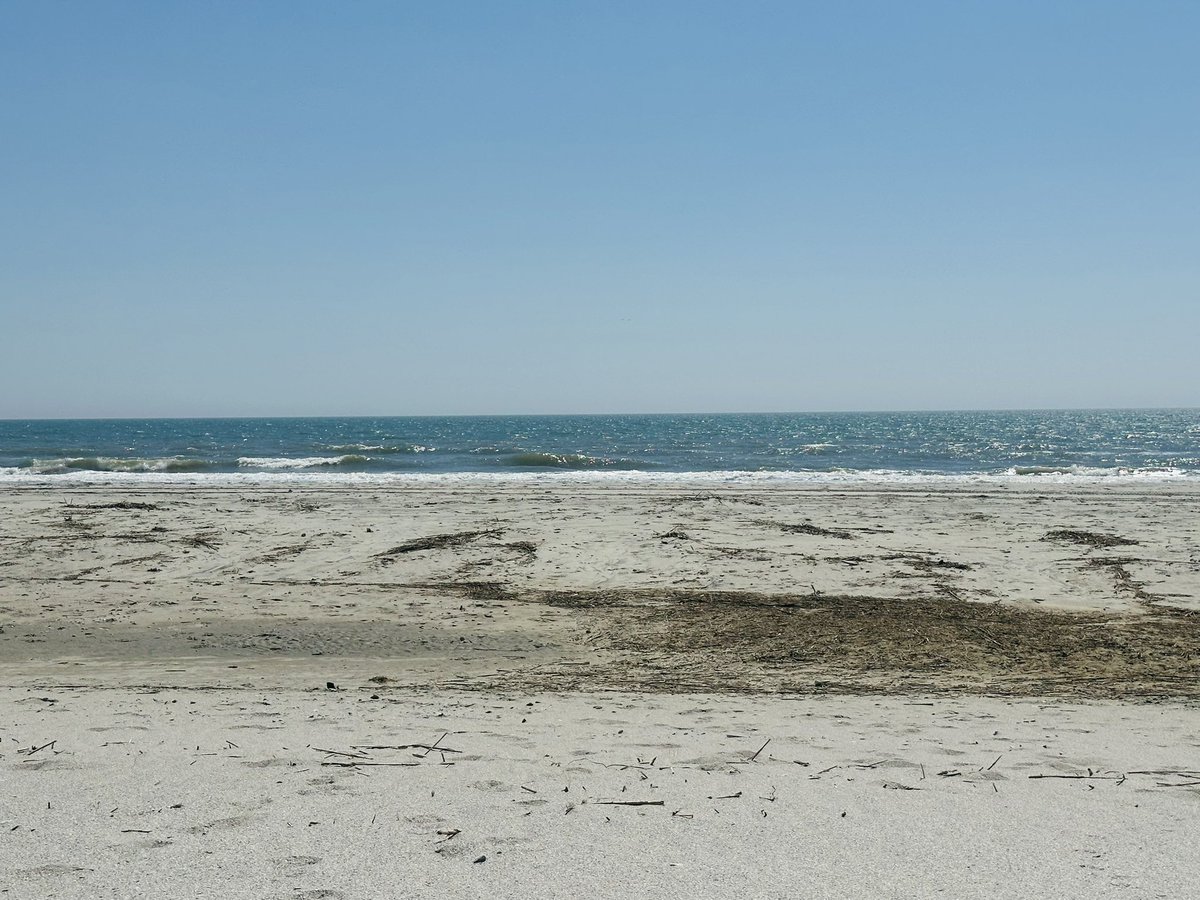 Dirty Terminator tweet media