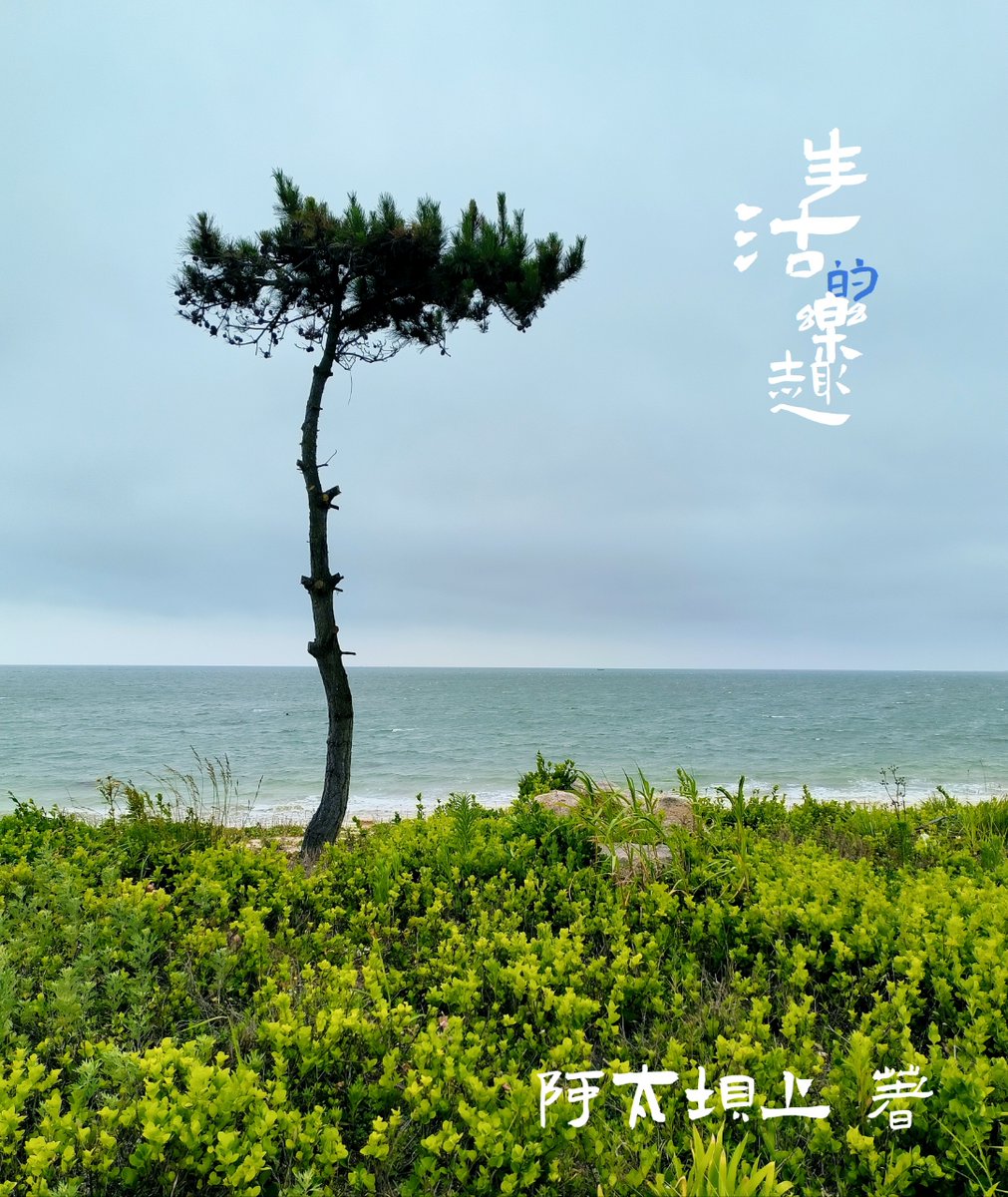 Chumani Dawudi tweet media