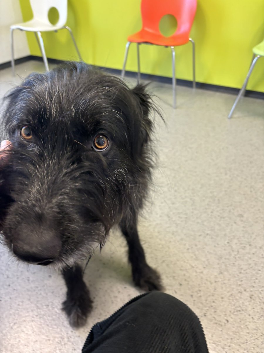 Monica_McClane 🤌 tweet media