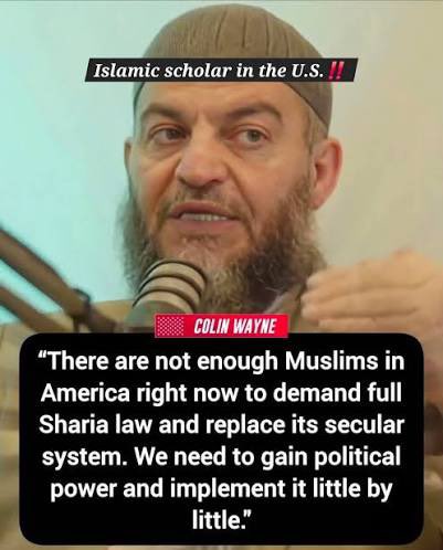 💥Hank💥 tweet media