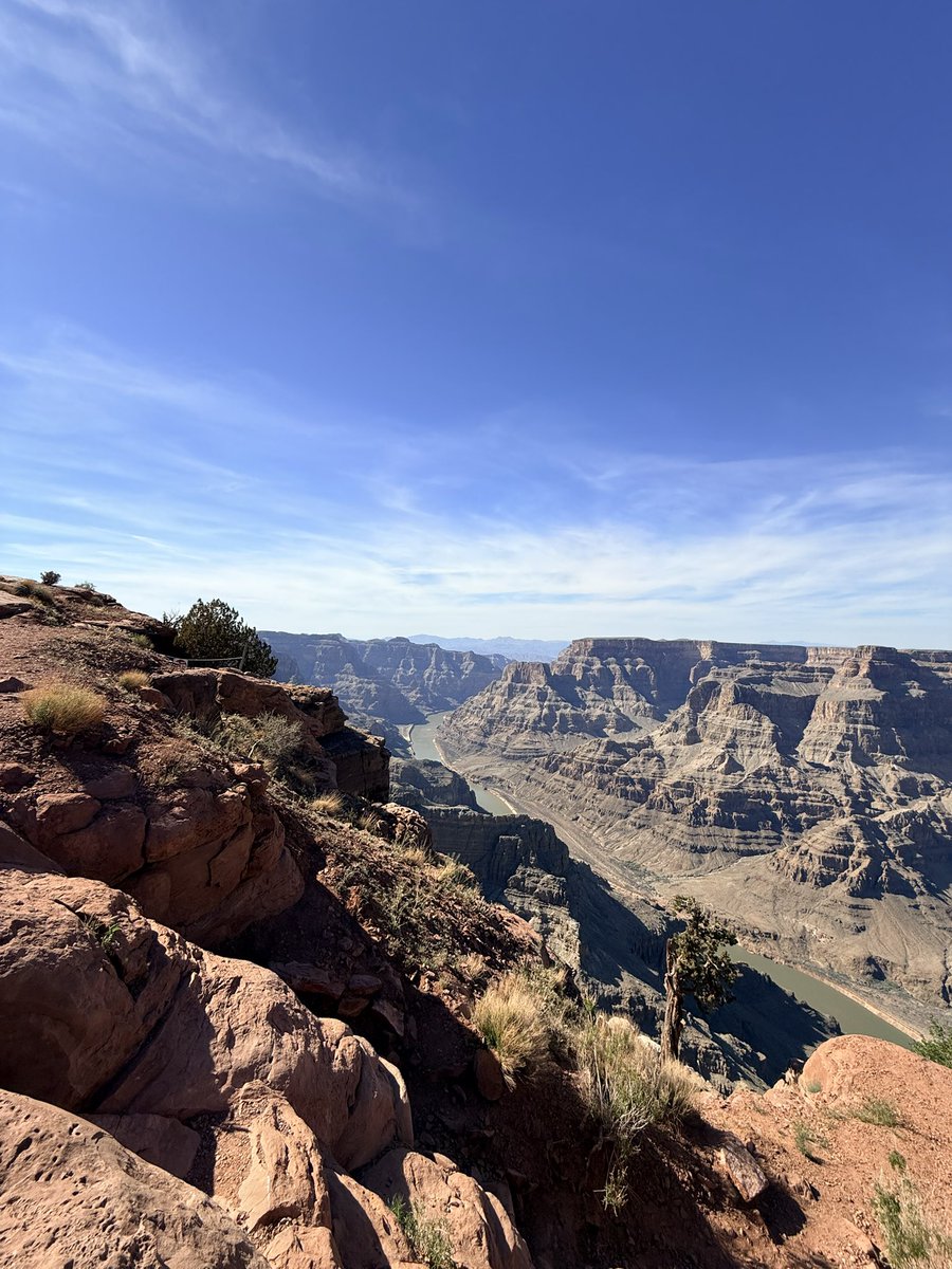 Gato Maldito tweet media