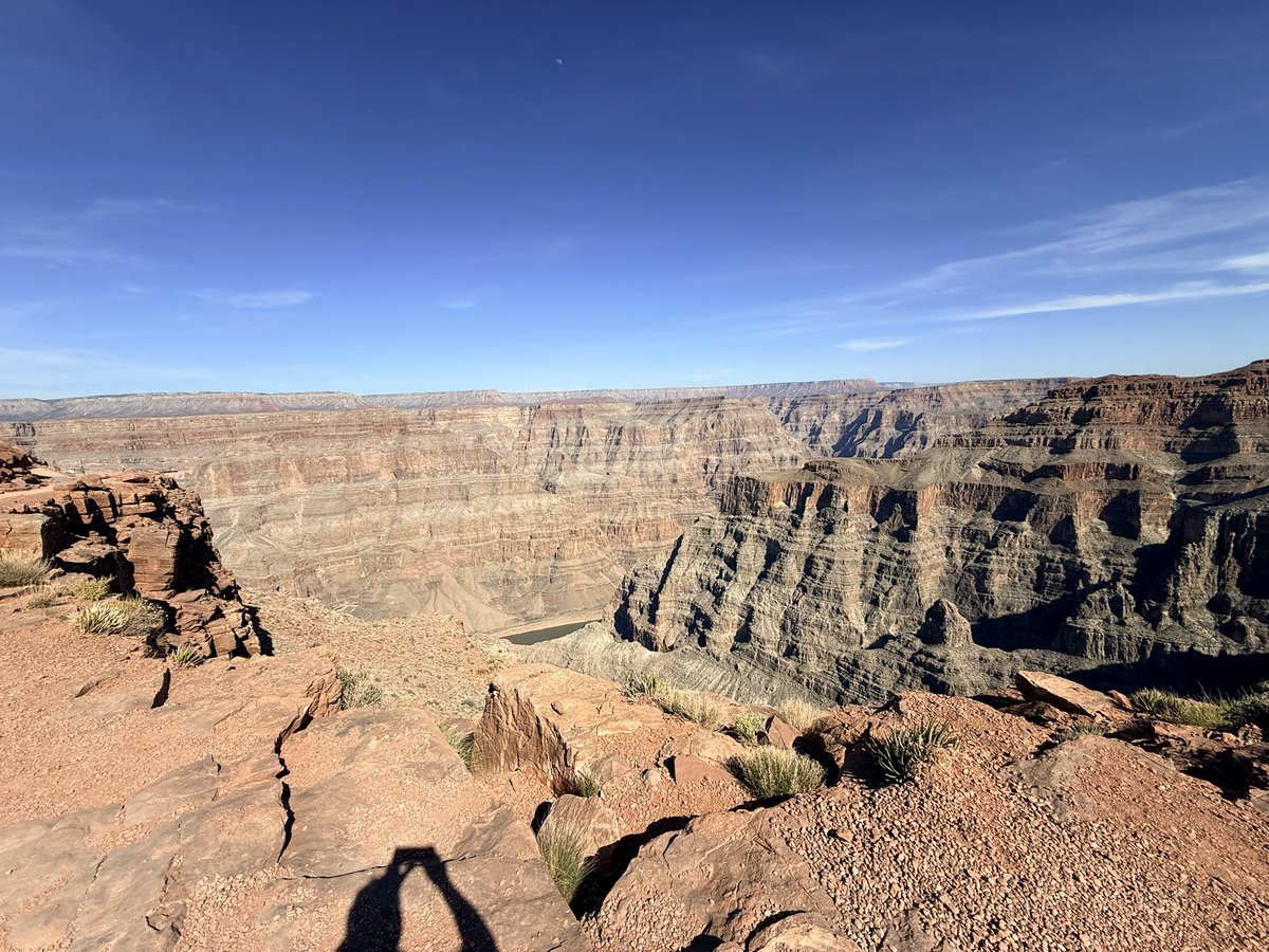 Gato Maldito tweet media