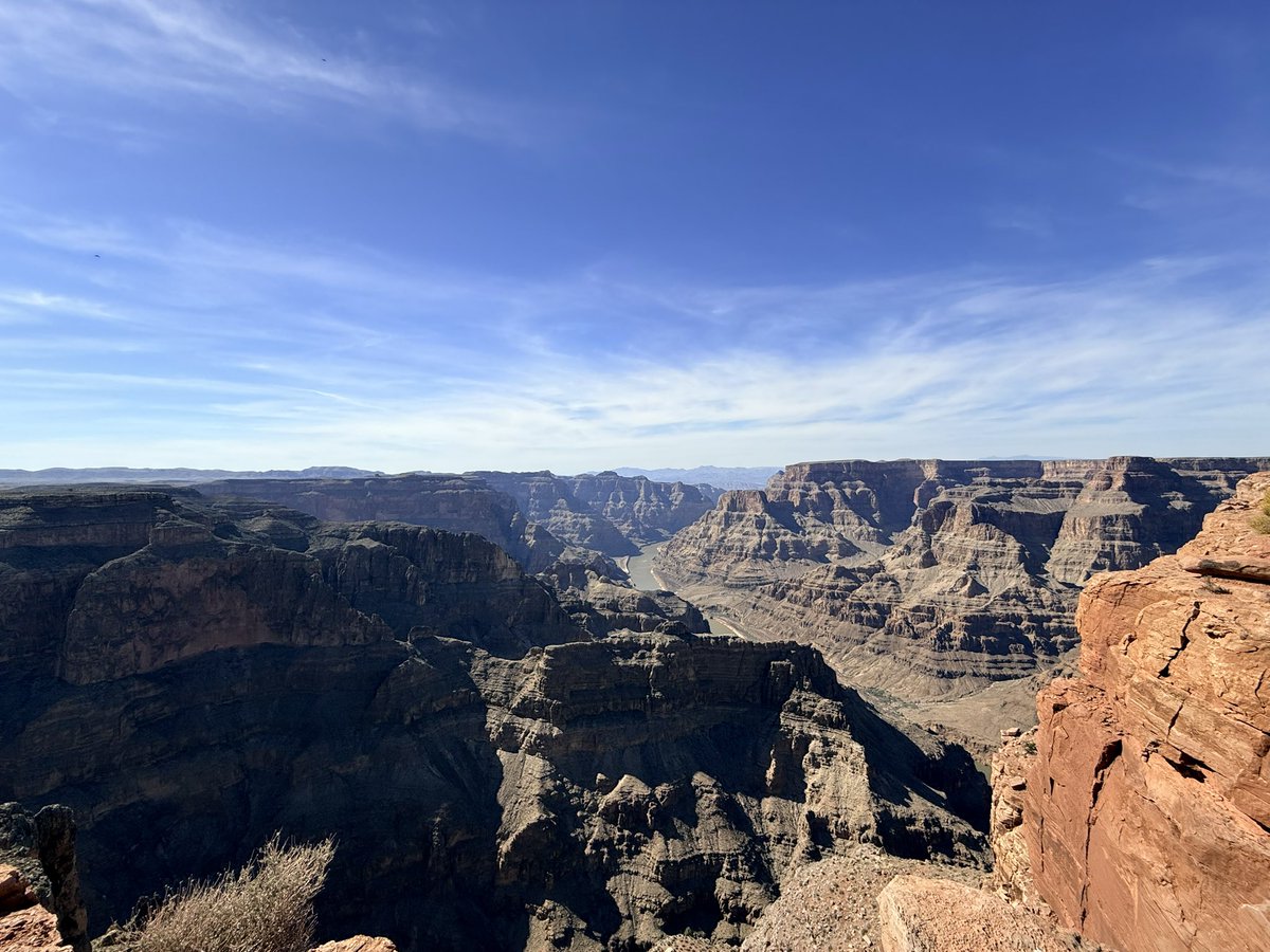 Gato Maldito tweet media