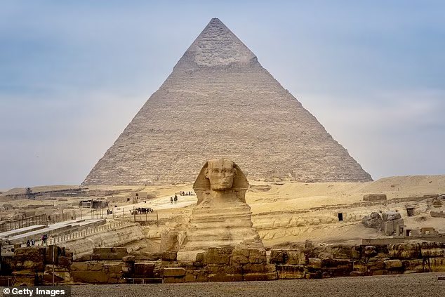 Jimmy Corsetti tweet media