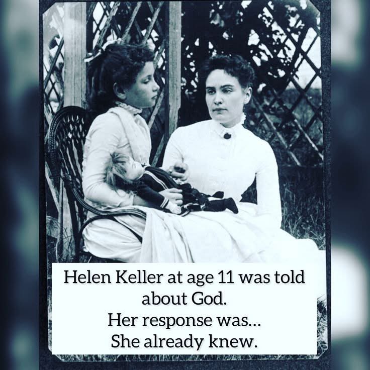 Not Evolution tweet media