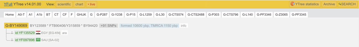 Y-DNA Sequencing in Egypt tweet media