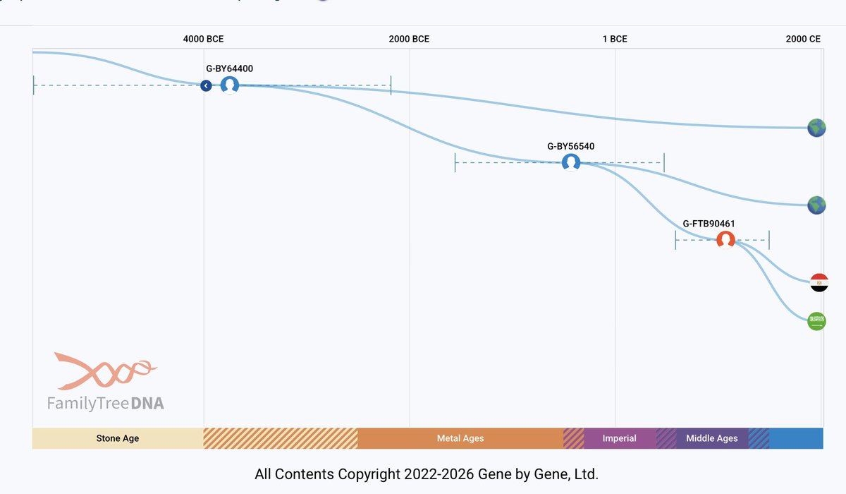 Y-DNA Sequencing in Egypt tweet media