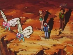 Valentin Fuentealba tweet media