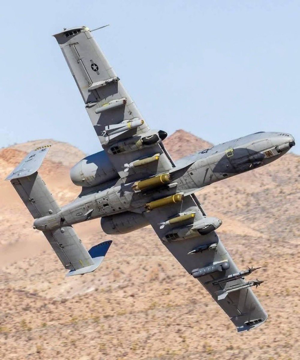 عبدالمجيد tweet media